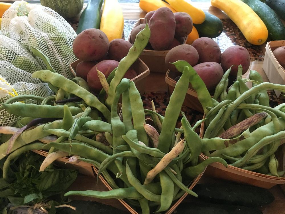 Best Tasting Green Beans